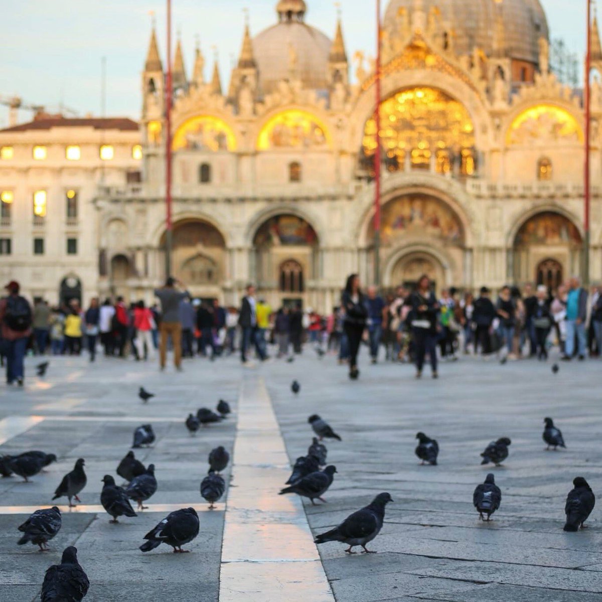 Kevin Barta tweet media