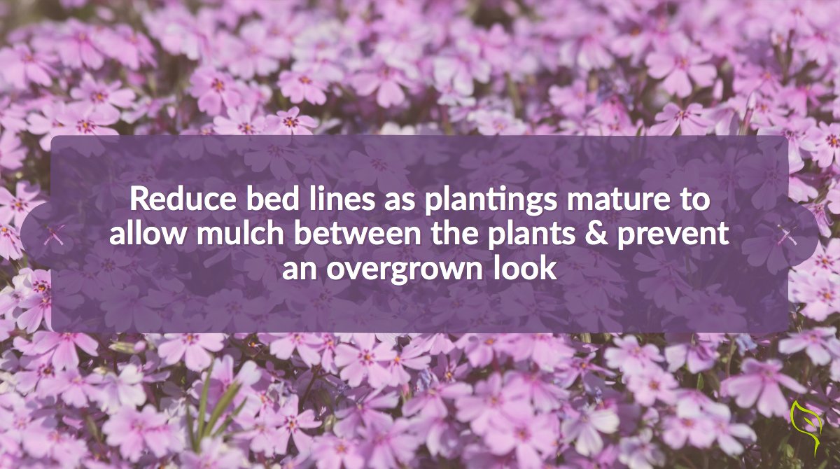 SaludaHillLands's tweet image. Follow @Saludahilllandscapes for more landscape tips and tricks! 
.
.
.
#SaludaHillLandscapes #Landscapetips #Tipsandtricks #DIY #LexingtonSC #ColumbiaSC #Midlands