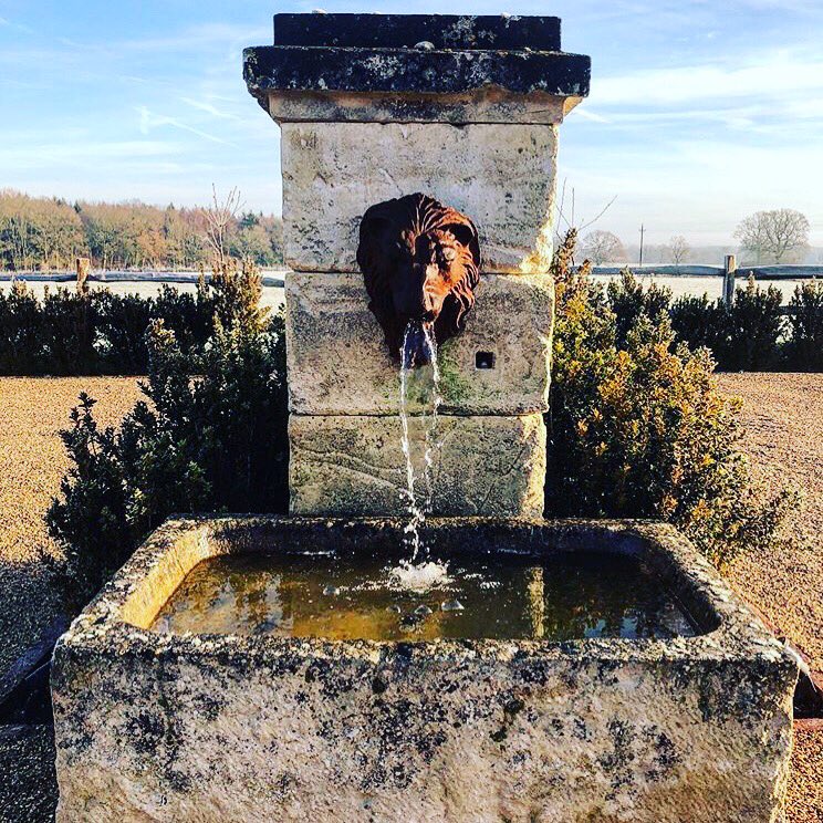 Caper & Berry tweet media