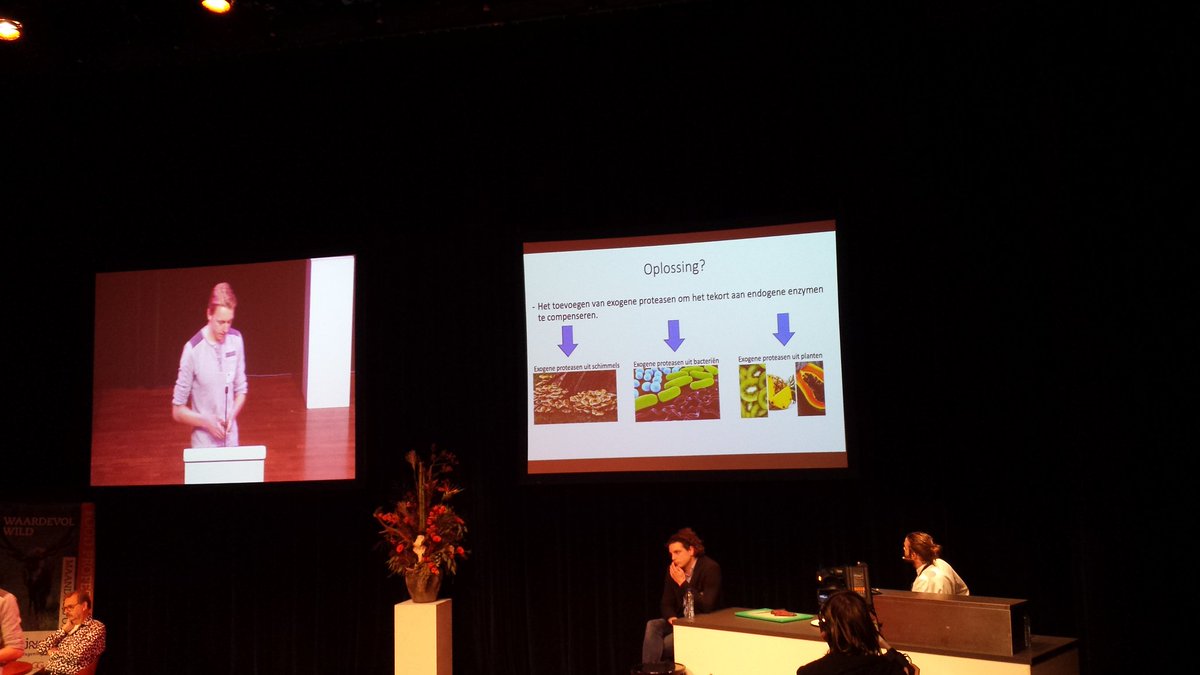 FoodProfDay's tweet image. Oplossing van Govert Sibbel voor vermalsen van taai ganzenvlees: proteasen uit jonge prei, kiwi of ananas #FPD2018