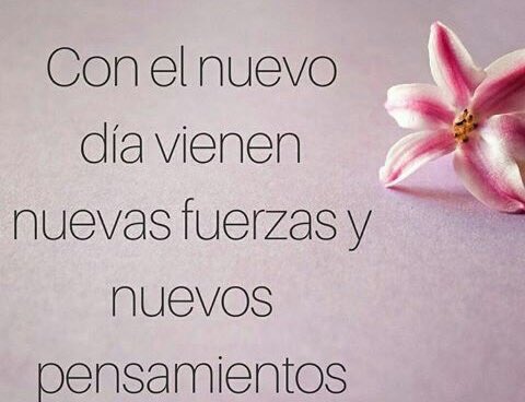 Alonso_Blancas's tweet photo. Cada día es una nueva oportunidad, aprovechemos ello con toda la actitud del mundo.💪😉 Tengan un gran inicio de semana, que sea mejor que la anterior.
#FelizLunes #Amigos #ColosioMapimi https://t.co/QJzX6Y0Ffo