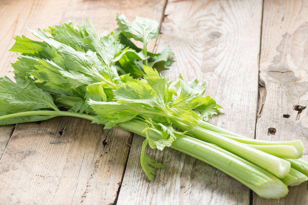 TCMWorld's tweet photo. The loss of one night’s sleep is followed by ten days of inconvenience. ~Chinese Proverb. Try these recipes to help relieve #insomnia: https://t.co/wRR8J5Lk7d #sleep #kitchenpharmacy #TCM https://t.co/JyOA0SGDLo