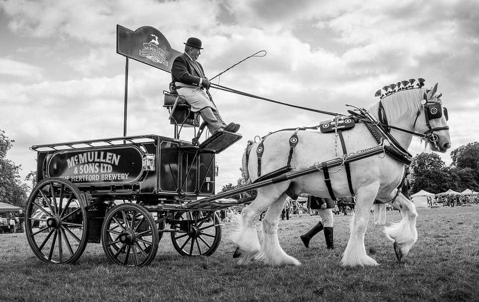 McMullens_pubs's tweet photo. Hertford, this weekend is going to be brilliant! The brewery is open this Saturday 13th all day from 10am with some incredible stalls for you to enjoy including @BacardiUK, @PinksterGin, @lulucoffeeco, @HertfordBrewers and loads more! Even a visit from these beasts! https://t.co/QxAW577PFu