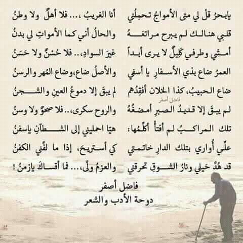 بَقايا الظِّلِّ مِنْ رَكْبٍ رَحَل tweet media