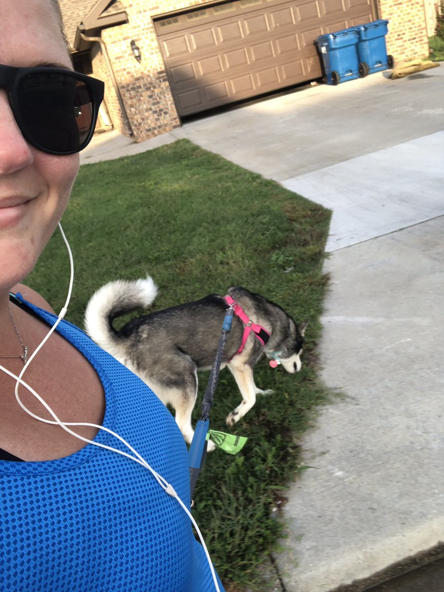 JessSchaer's tweet photo. Monday’s with Liz! ❤️🐾 #LifeWithLisbeth #Joplin #MO https://t.co/nHPYHNO44X