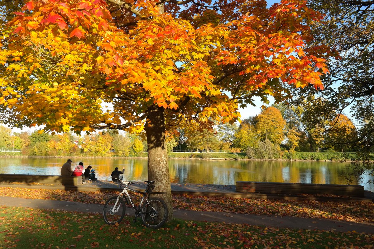 Toute l'équipe de l'Hôtel Montfort Nicolet vous souhaite une Joyeuse Action de grâce! 🦃 Comment allez-vous profiter de cette journée? 👇