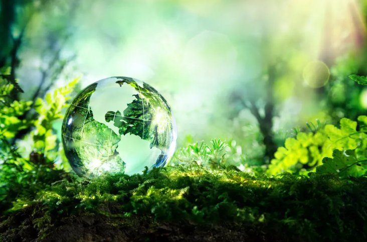 wallbarn's tweet photo. If a definitive shift towards sustainability could save $26 trillion. Why aren’t we doing it?

https://t.co/Z3vVyt5pJs

#greenroof #greenroofs #modulargreenroof #sustainable #sustainabledevelopment https://t.co/y1Y0RrQUKD