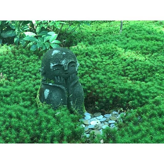 panepanpon's tweet photo. ニコニコやさしい〜☺️
#京都 #圓光寺 #おじぞうさま #十牛乃庭 #芸術的な庭 #苔寺 https://t.co/qCxyKNfYmd https://t.co/o5dKVLPcAP
