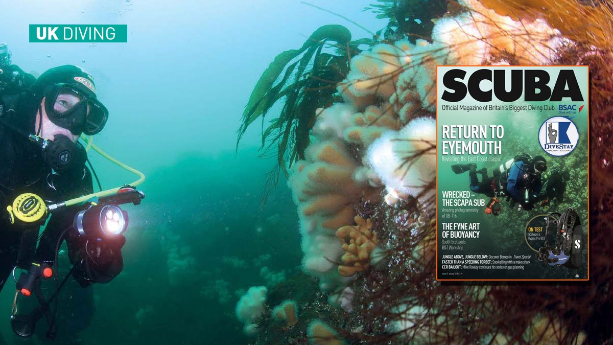 divestay's tweet image. Great article in this magazine
#Diving #scubadiving #NorthEast #livingthedream