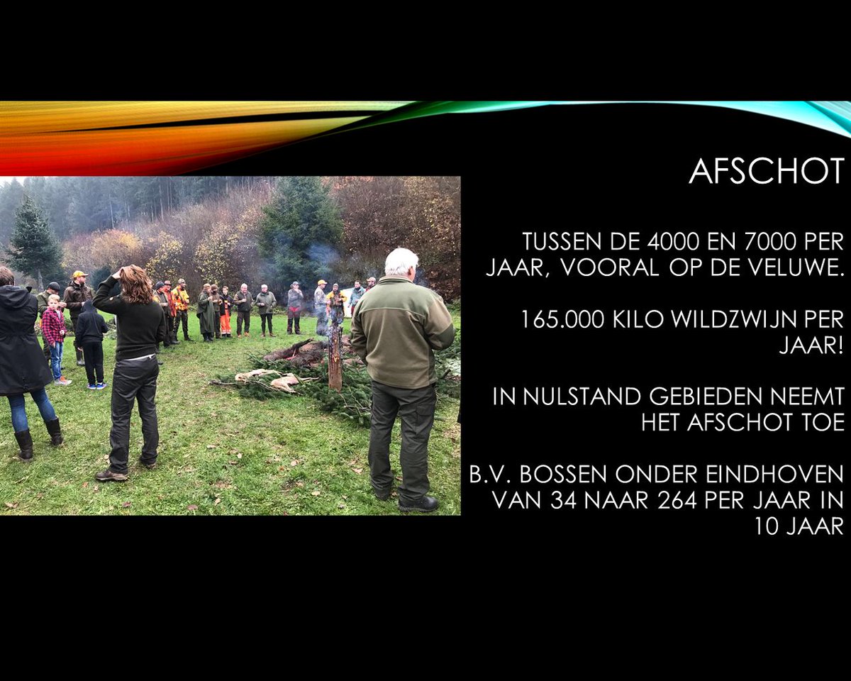 FoodProfDay's tweet image. Ellen Mookhoek: afschot wild zwijn  4000 tot 7000 per jaar #FPD2018
