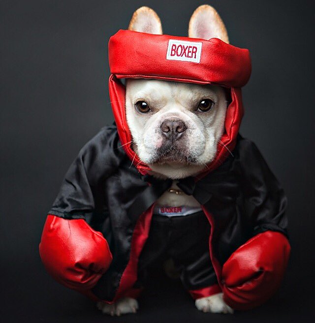 What ya say about my momma? #mommasaidknockyouout