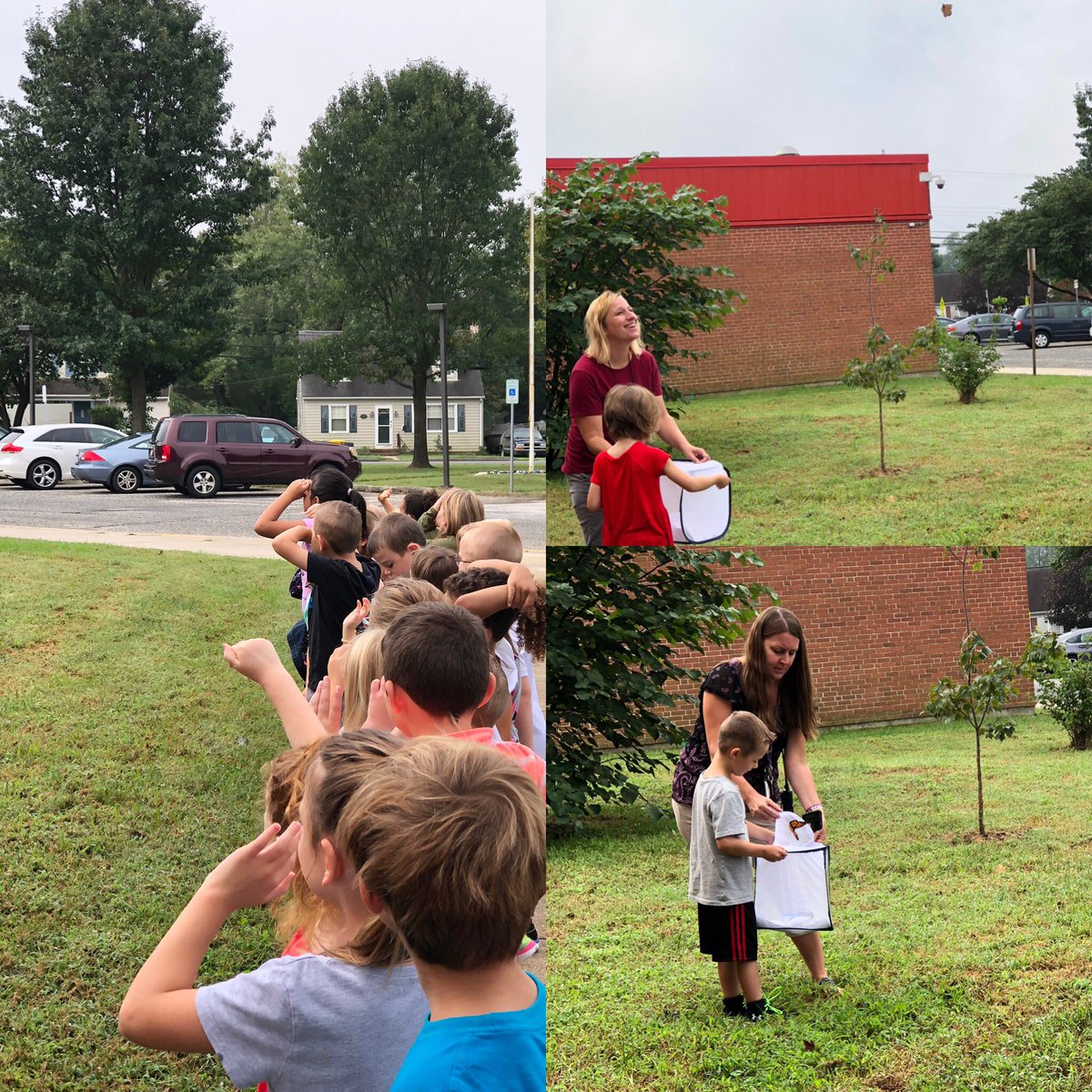 foxreadingchick's tweet photo. It’s monarch Monday!!!! 1st grade releasing our beautiful butterflies! #AACPSBack2Awesome #lovinglearning #seeyalaterbutterfly @therivierabeach @MrsDasilva1stgr @VacekBridget @RBESAnderson https://t.co/zFuoIl8G4j