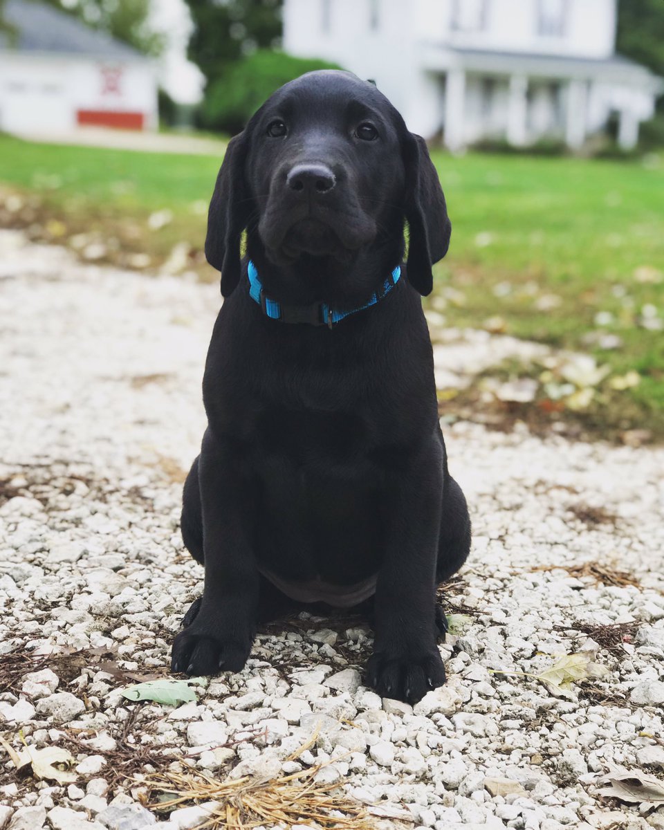 Kayla Allen tweet media