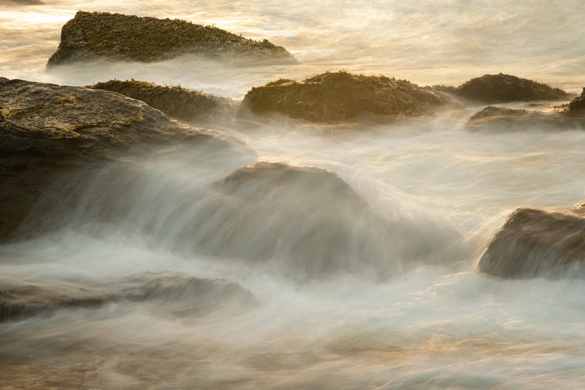 dcjazzphotog's tweet photo. Sachuest Point, RI, September 2018.
#sachuestpoint #sachuestpointnationalwildliferefuge #landscapephotography #landscapes #Nikon #rhodeisland #newportri #sunrise #morning #oceanscape #seascape https://t.co/mUIKkME7j1