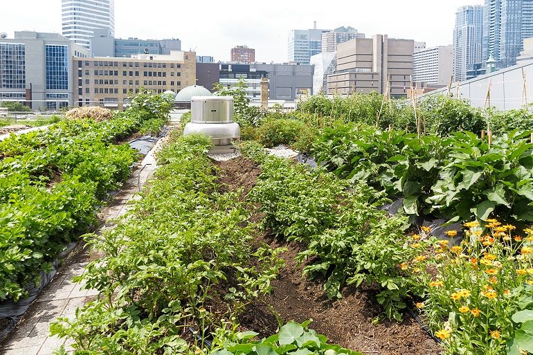 gb&d magazine tweet media