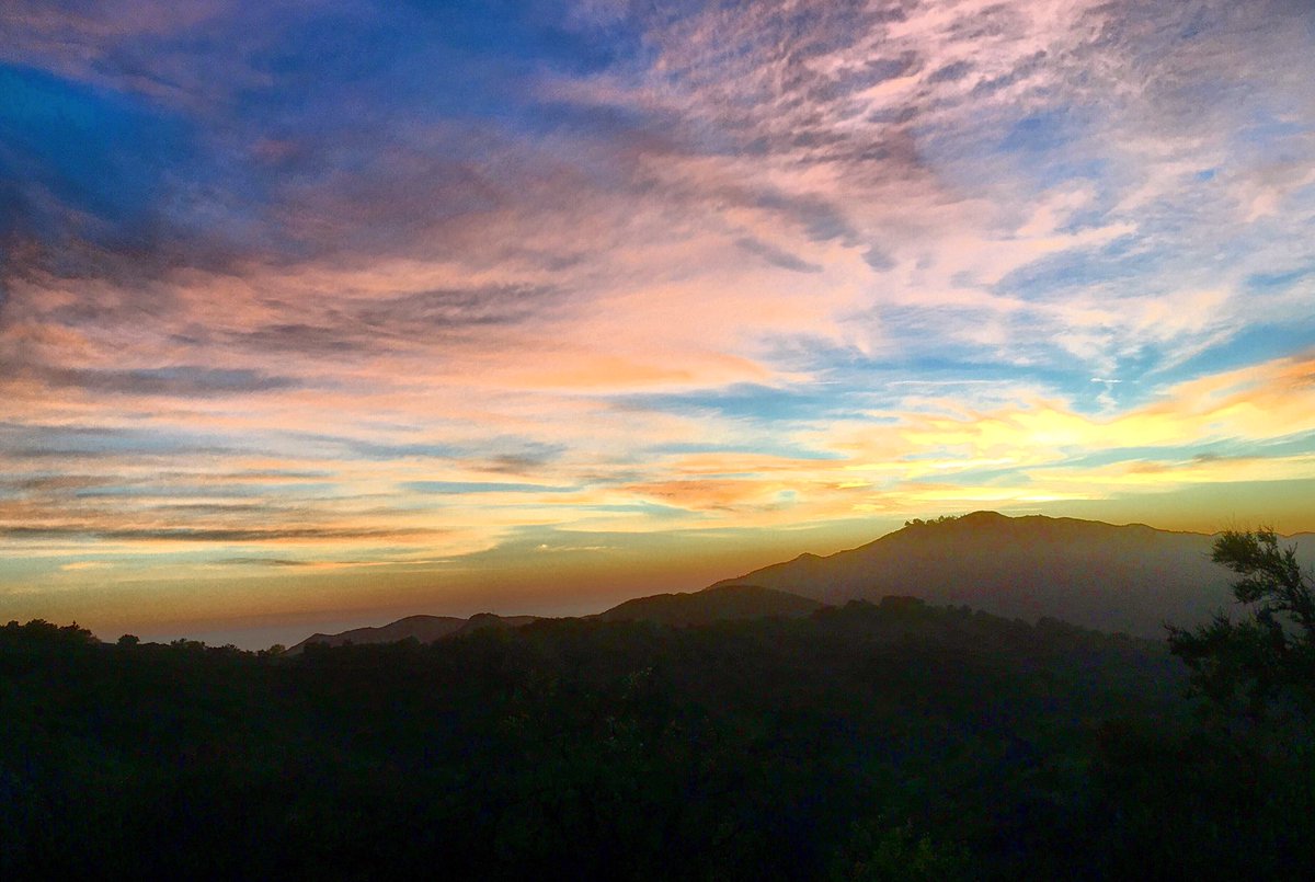 Bucior_ecophys's tweet image. Headed home from our first big field weekend in the #UCNRS. Big thanks to @StuntRanch, Malibu State Parks, @pepperdine and @UCLA La Kretz field station for hosting us!