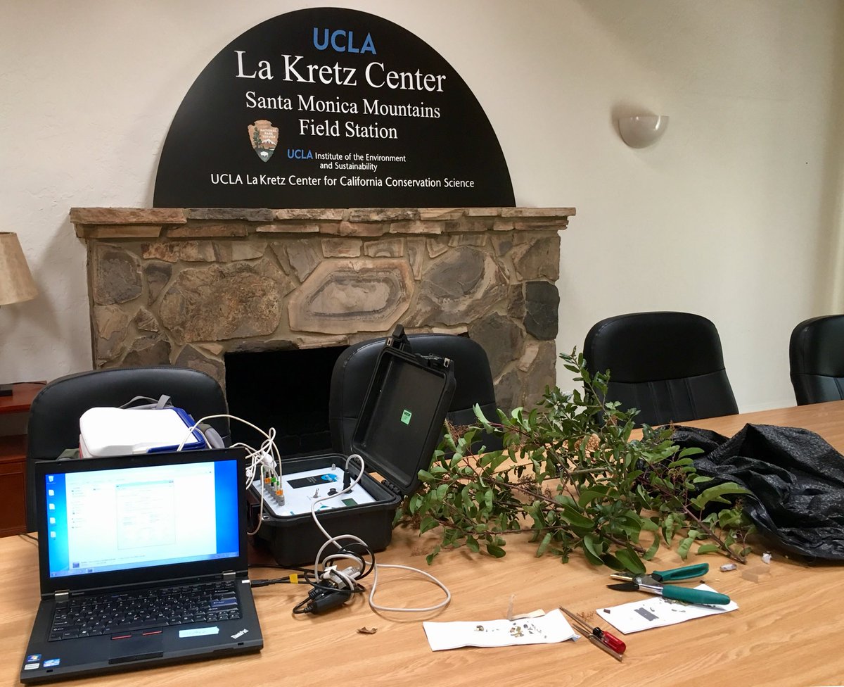 Bucior_ecophys's tweet image. Headed home from our first big field weekend in the #UCNRS. Big thanks to @StuntRanch, Malibu State Parks, @pepperdine and @UCLA La Kretz field station for hosting us!