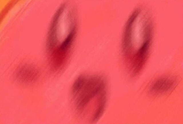 CanidLxver's tweet image. When Corin sees someone with a leash.