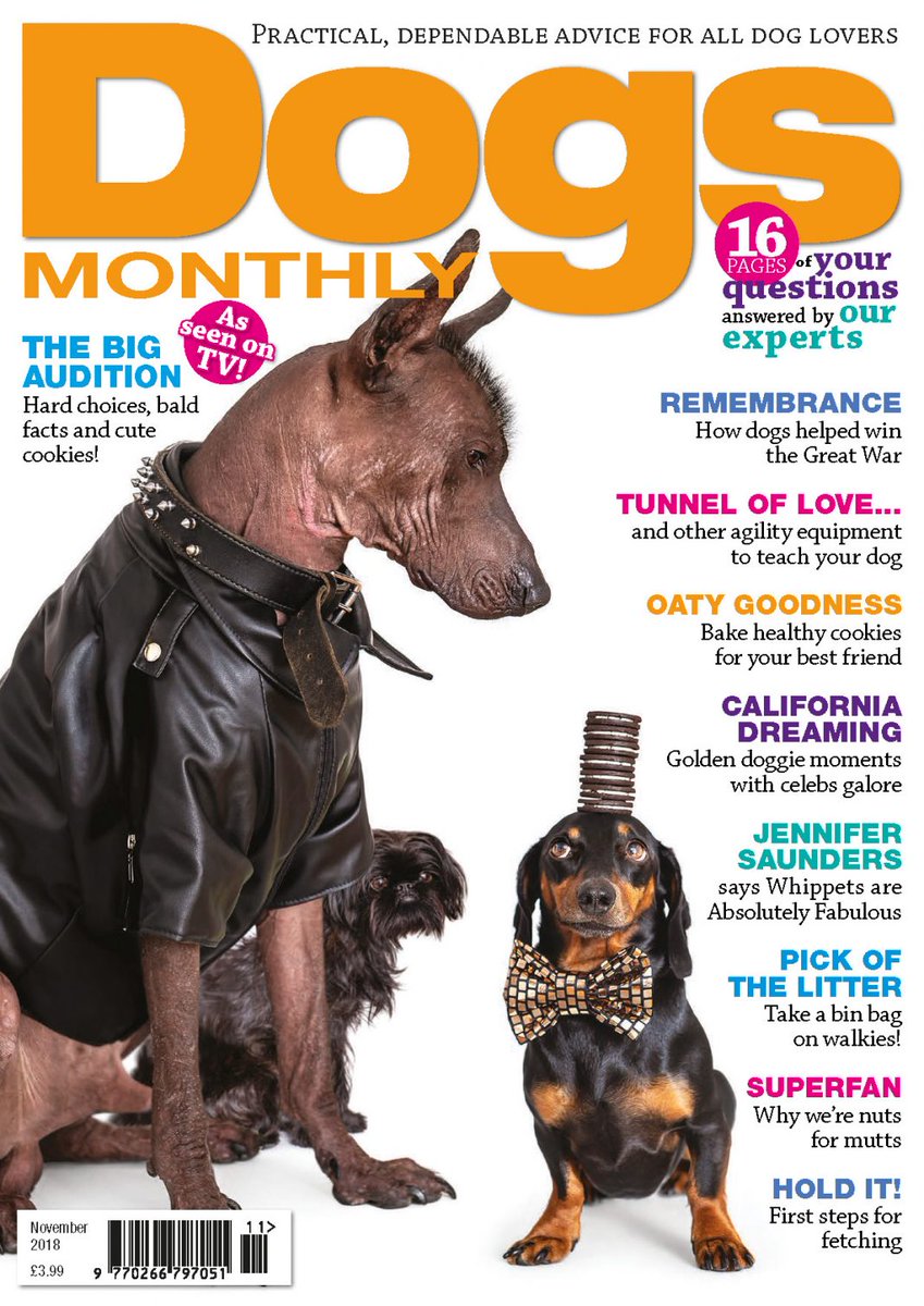 PLANPOOCH's tweet photo. It's OCTOBER already and we are in Dogs Monthly Magazine (page 77) this Autumn along with Jennifer Saunders from AB fab @ferrifrump and her Whippet! &amp; all things to wrap up in now our season is changing! 🐶🍁🍂🍃🍂

#dogs #jennifersaunders #abfab #Autumn #puppies https://t.co/JbG9xx6QVj