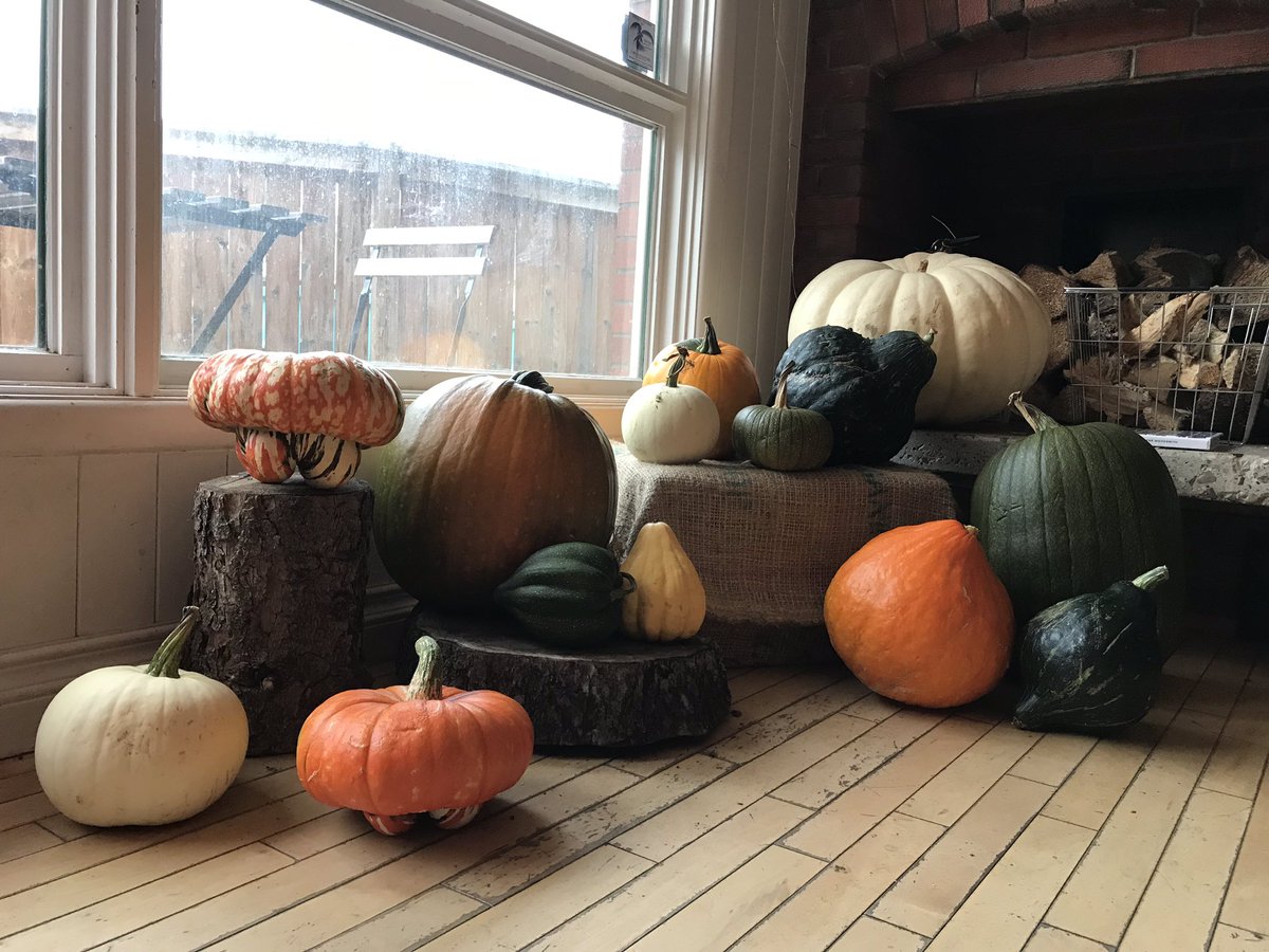 sabormexico's tweet photo. @littlebrickYEG fue el punto de encuentro en @ExploreEdmonton para comenzar debidamente la mañana del #CanadianThanksgiving Muffing de berries, capuchino, granola, frutos rojos, yogur y miel ¡El ambiente de fiesta familiar es una experiencia hermosa! #saborescanada #GoMedia2018 https://t.co/nhwqMSMjJk