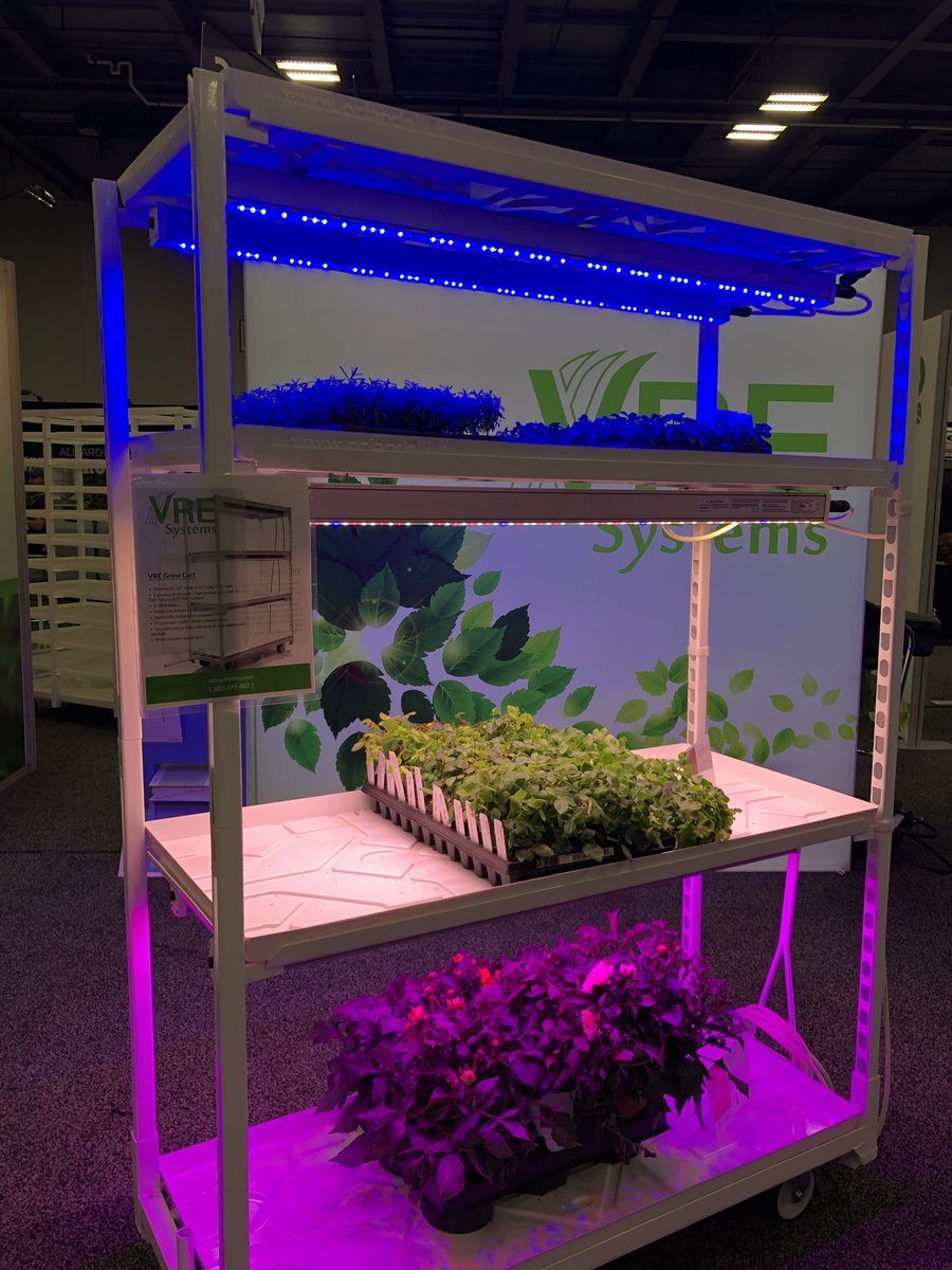 gs-horti.com (@gen_scientific) on Twitter photo 