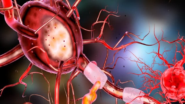 enzymologymeet's tweet photo. Innovations in enzymology & protein chemistry
https://t.co/7vOkWAikE4
Fruit fly protein shows protective effect on dopamine-producing neurons..
#enzyme_mechanism #enzymetarget #biochemistry #nanotechnology #proteinanalysis #casestudy #mass_spectroscopy https://t.co/mI10shnw4p
