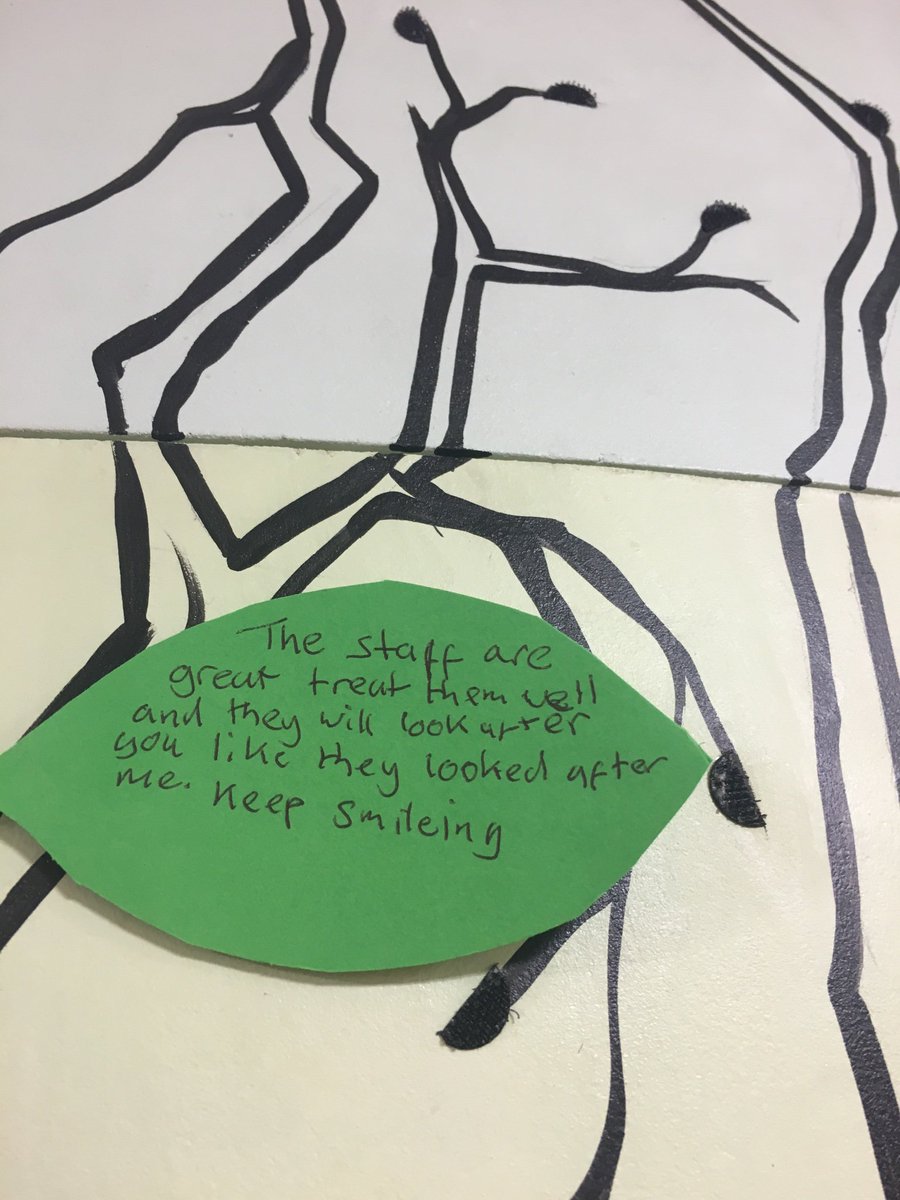 Michellekim1987's tweet photo. Laurel’s Positivitree is starting to really grow!! The #dischargetree is having such a positive effect on the ward and has been fully embraced by all of the team. Well done team Laurel!! @mpftnhs @WrekinWards @Safewards #proud #MentalHealth https://t.co/yqTZSNJKZF