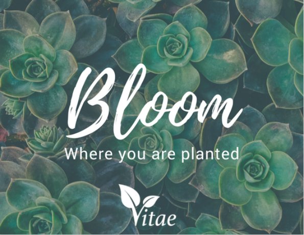 <a href="/OfficialVitae/">Vitae Official</a> I love vitae because it has a great potential in cryptocurrency . It was very peaceful because of its good platform. And it will also help us to success in life.. Nature loving alright ^^

Visit here: vitaetoken.io 

#cryptocurrency #blockchaintechnology 
#ilovevitae