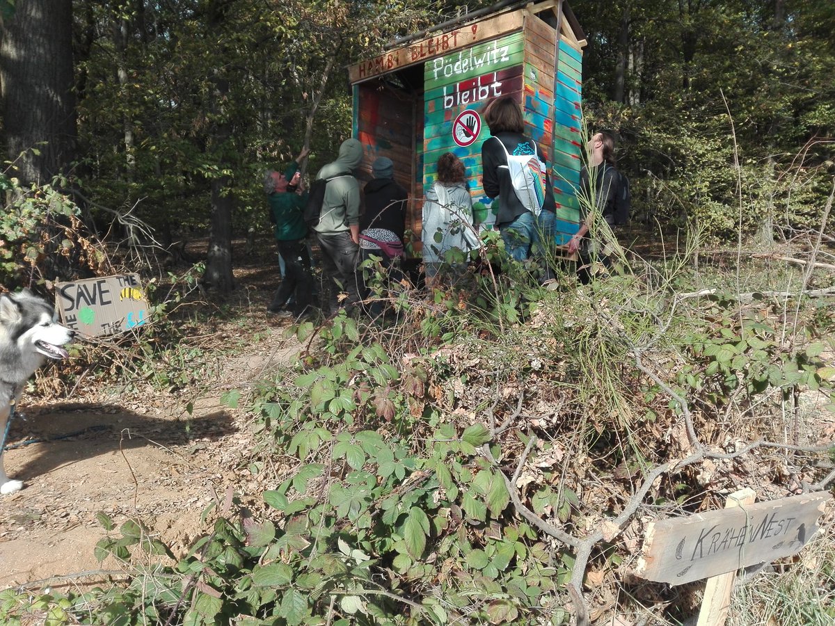 HambiBleibt's tweet photo. #Podelwitz #hambibleibt #solidarity treehouse finally entering #HambacherForst. Showing what is dangerous here: creativity, simplicity, equality & ecology. Violent concepts to those forcing upon others reality of #extractionism #exploitation & #Climate instability
#divest #RWE https://t.co/9wtHgQ7oPI