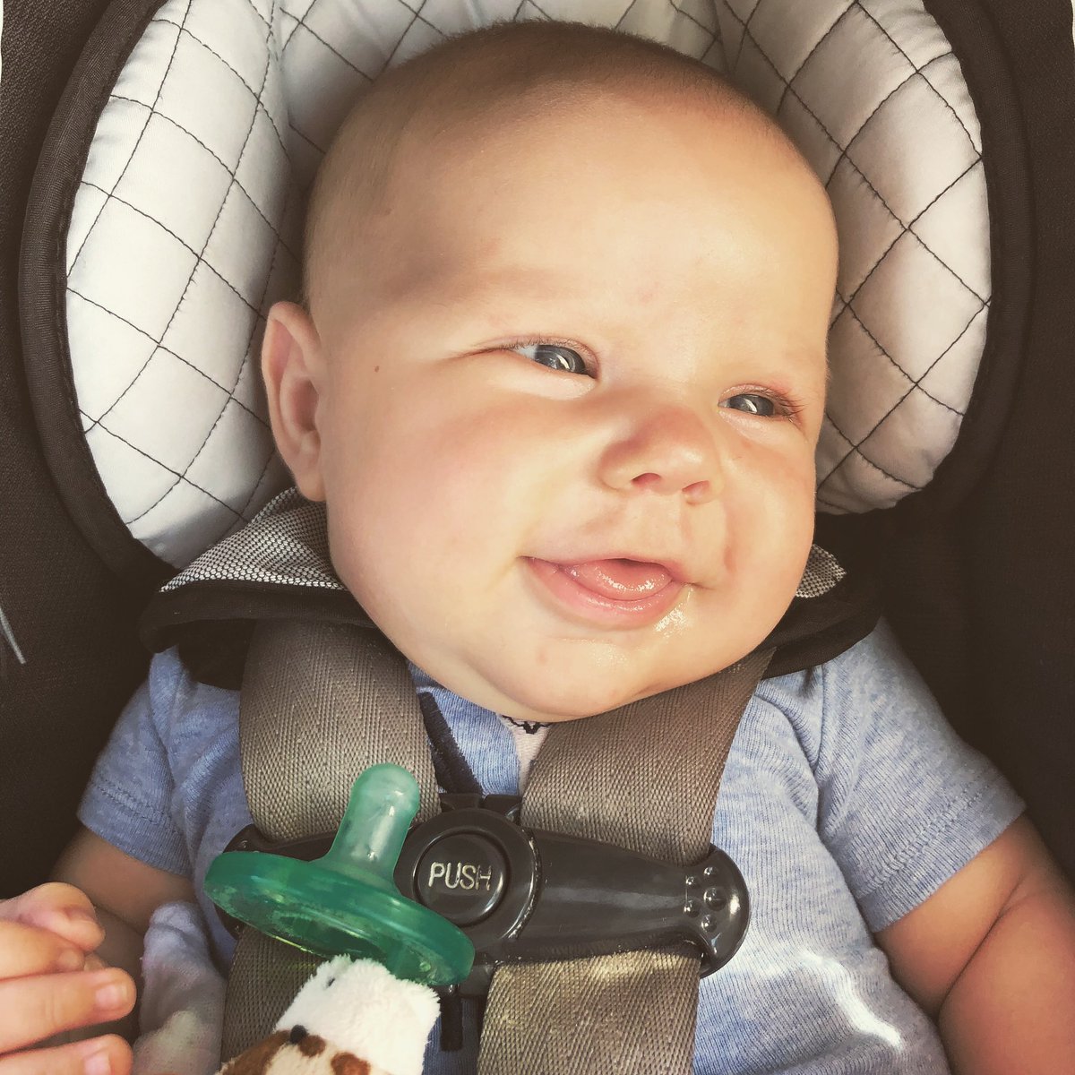 MrsMorganLady's tweet photo. Baby Lady! 😍 https://t.co/ZIF1syx5of