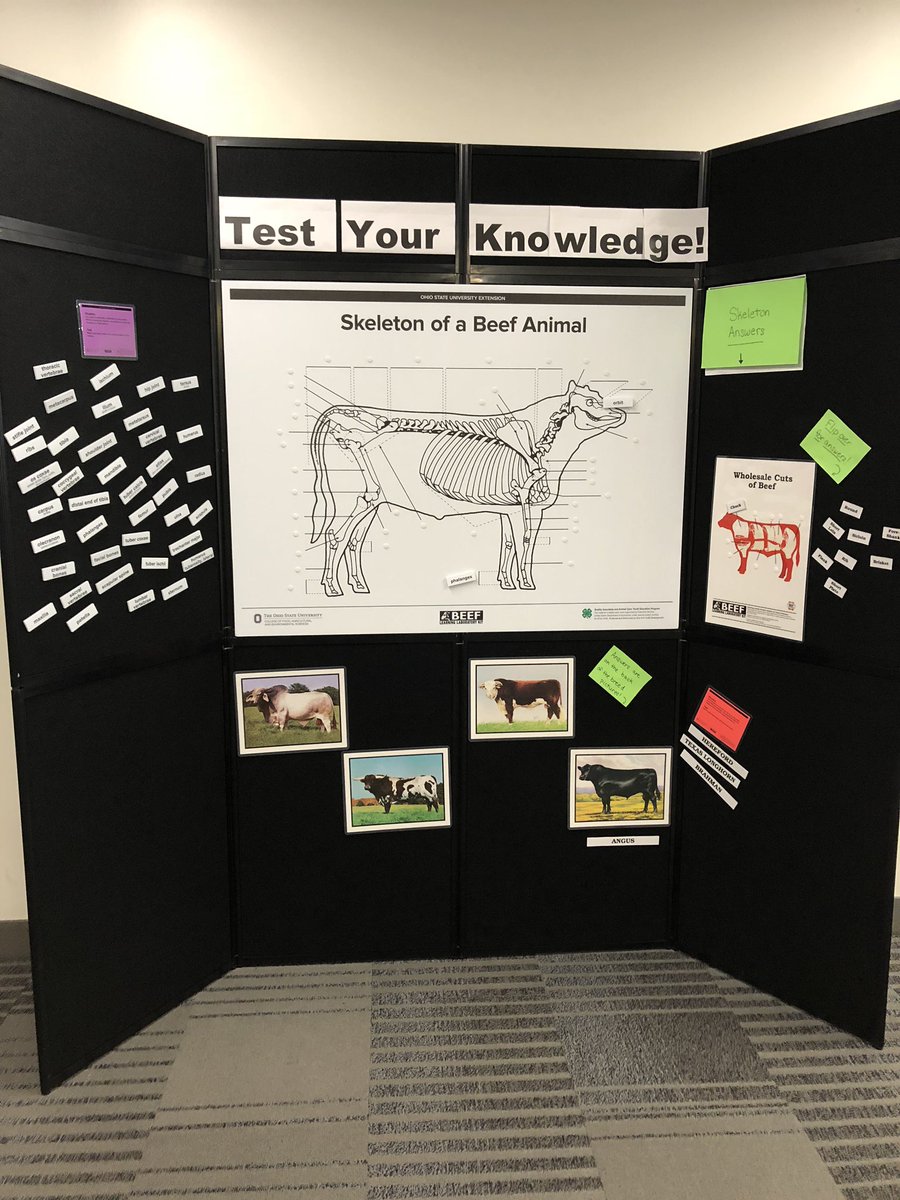 learninglabkits's tweet image. We are in the exhibit hall today &amp;amp; tomorrow...but take a break to test your knowledge, around the corner from registration on the first floor! #nae4ha2018 @NAE4HA @ohio4h #4H #animalsciences