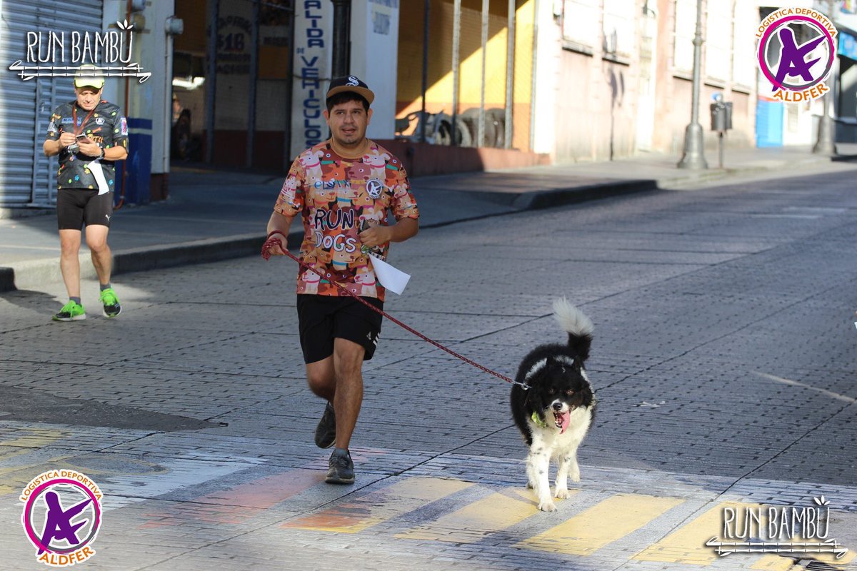 choresin's tweet image. Ira we, ya casi llegamos a la meta #lomito #runwithdogs