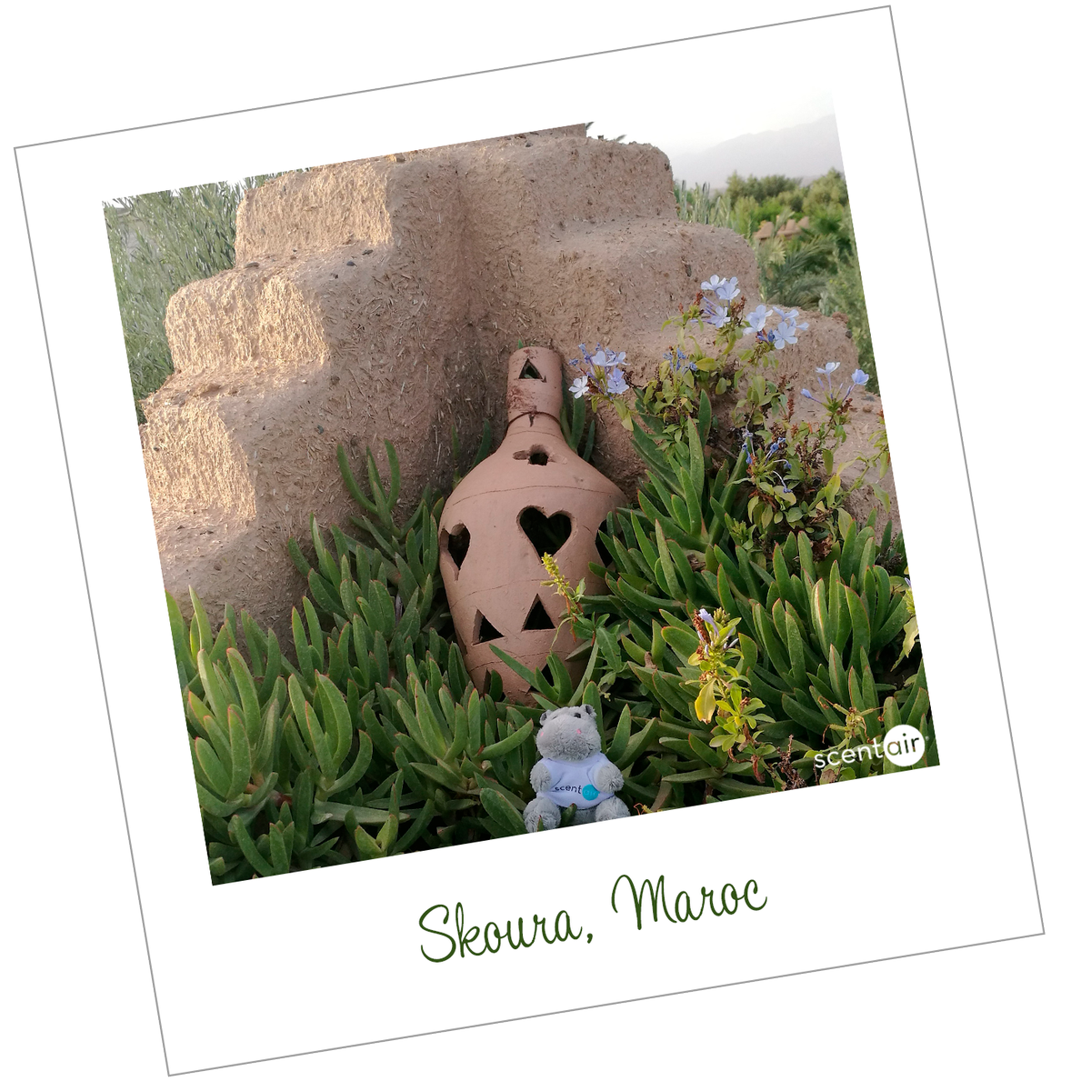 ScentAirFR's tweet photo. #Paco nous fait encore rêver avec ses vacances exotiques en ce début d'Automne... Il se la coule douce au #Maroc ! 😍☀️🇲🇦 #LesFabuleusesAventuresDePaco #EncoreUnPeuDÉté #ScentAir https://t.co/q59M5VRG95