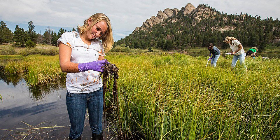 SciNode's tweet photo. Citizen science is easier with access to these gateways - https://t.co/zgpQfs0ULD
#gateways2018 @sciencegateways @SDSC_UCSD @TACC @maytaldahan @NSF @VanderbiltU @NCSAatIllinois @dataverseorg @IQSS https://t.co/056NyjWkT9