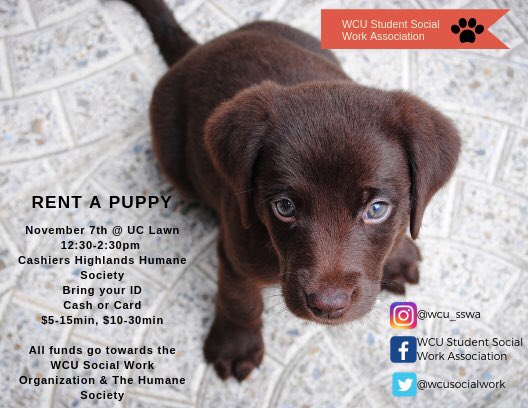 wcusocialwork's tweet image. Come out and support the student social work association by petting a puppy. There’s nothing better than playing with a puppy and getting rid of some stress. All proceeds go to the organization.