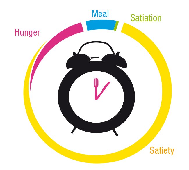 YogurtNutrition's tweet photo. Did you know that consuming yogurt can increase the feeling of being full and this effect on the appetite may help reduce calorie intake ?

➡️ Read the detailed digest by @AzminaNutrition https://t.co/NUNpwjUH4R https://t.co/FeiozY9A6A