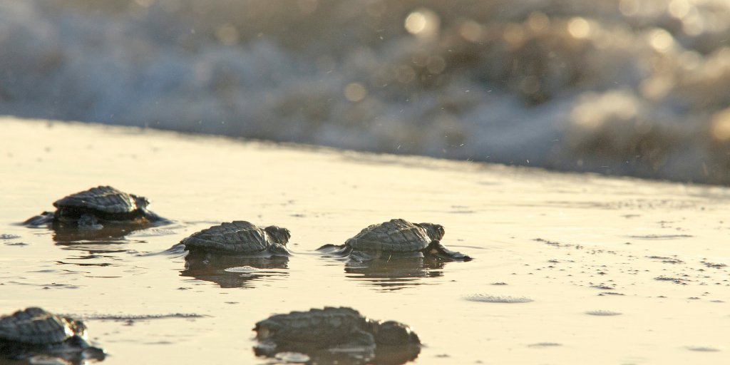TPWDparks tweet picture