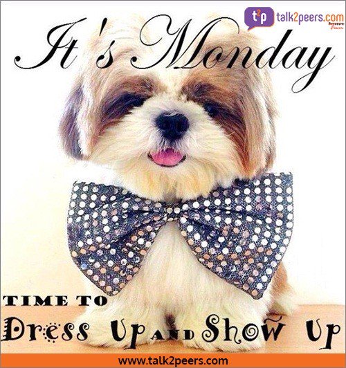 talk2peers's tweet photo. This is your #Monday morning reminder that you’re amazing and you can handle anything!  #Talk2Peers https://t.co/OBdmyIAY5z