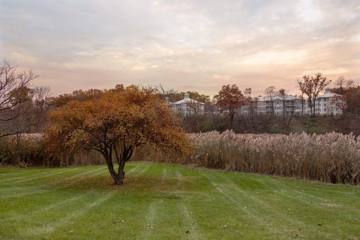 hiclubvacations's tweet photo. Craving #FallFoliage? Say hello to our #FoxRiverResort. 🍁🍂🌾

#IHG #HIClubVacations https://t.co/2wP3hEJf3b
