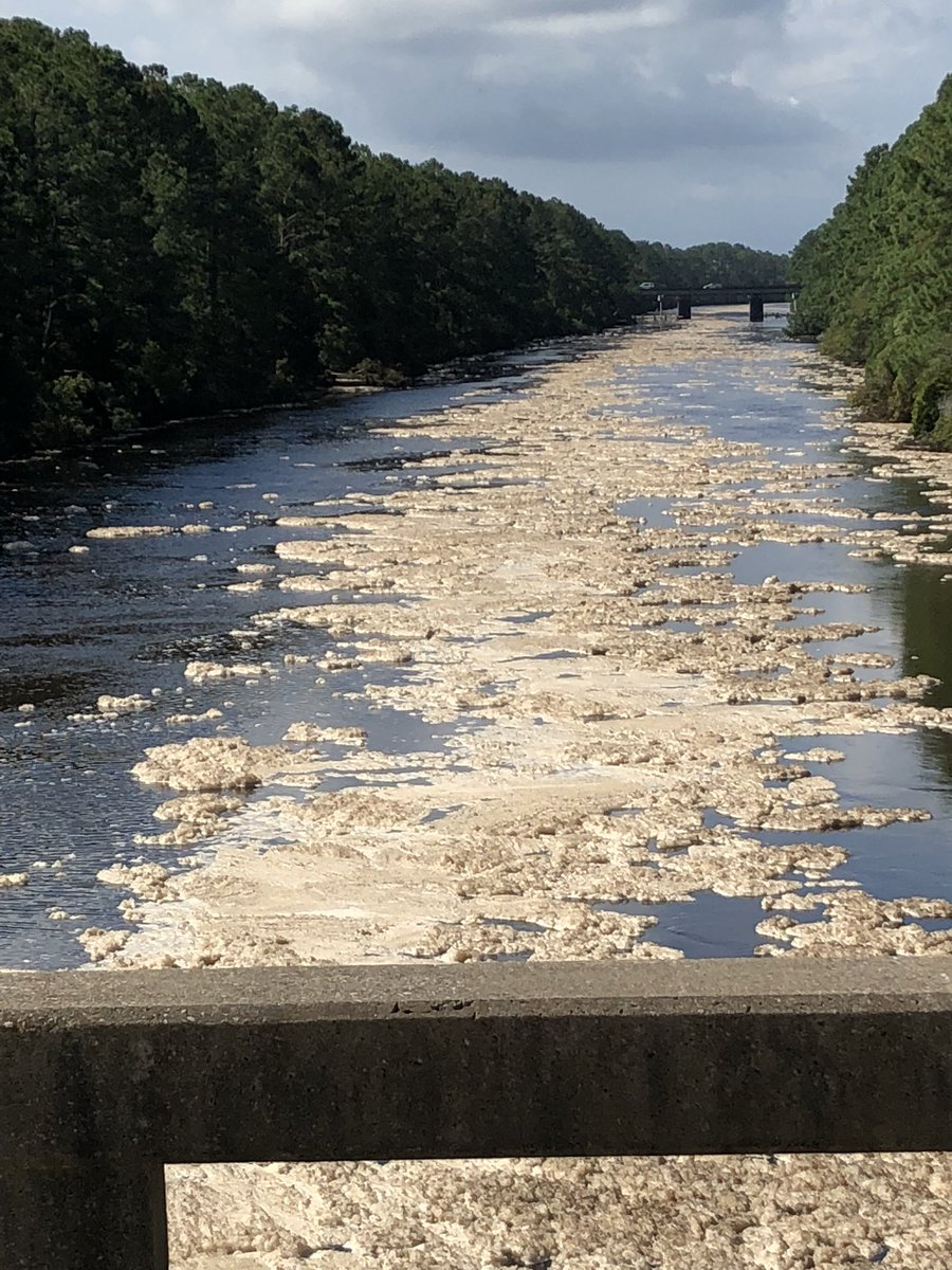 Black water, salt water after flooding need a Disinfectant like Shockwave by Fiberlock #hurricane #howto #flood #restoration #salt #coatings #waterdamage #disinfection #shockwave #fiberlock fiberlock.com