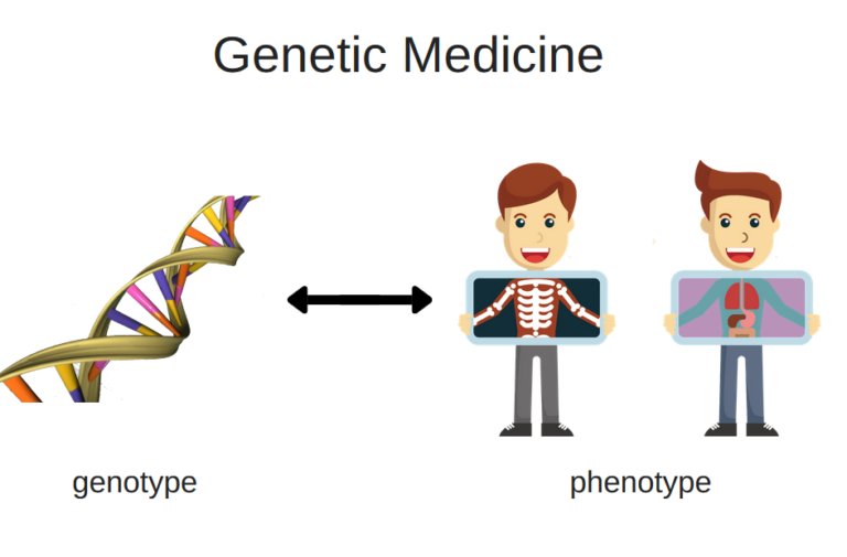 Genetic medicine urgently needs better phenotype data. thetgmi.org/genetics/genet…