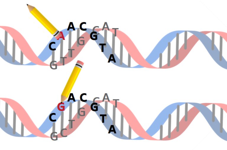 Gene editing in genetic medicine. thetgmi.org/genetics/gene-…