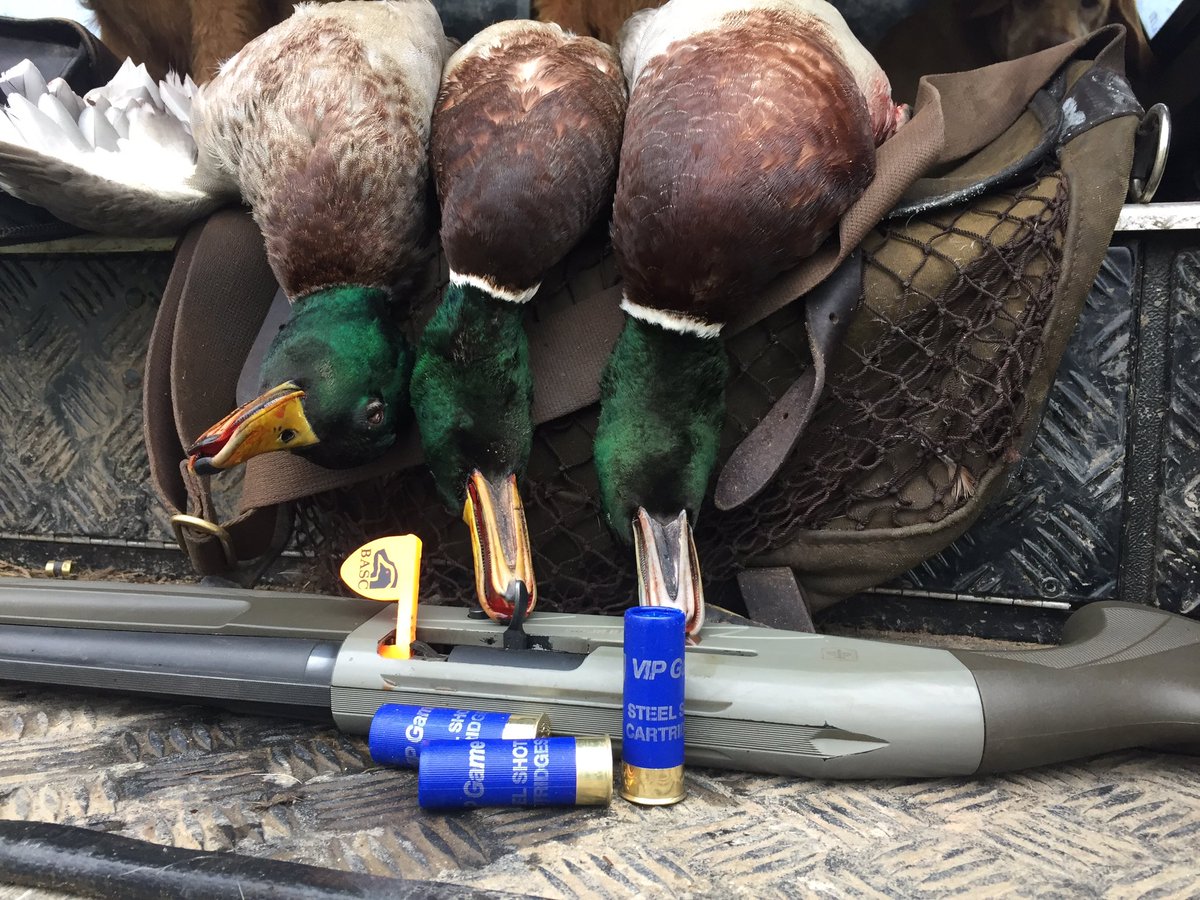 Fancy morning flight with the legendary chaps from South Solway Wildfowlers? Contact <a href="/MikeTBASC/">Mike Thornley</a> or better still come to the auction held at Eden Gameshooters Eve Carlisle #wildfowling