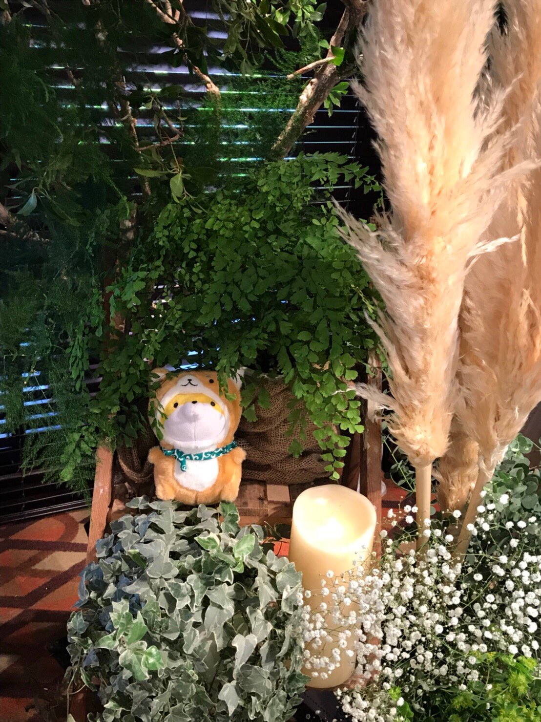 在庫あり】 こんちゃん ajdim キーケース - summerfashionweekend.com