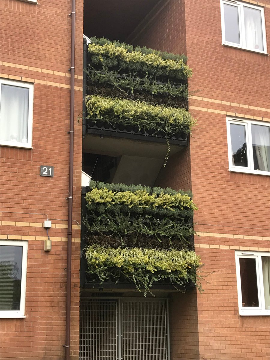 The Green Community tweet media