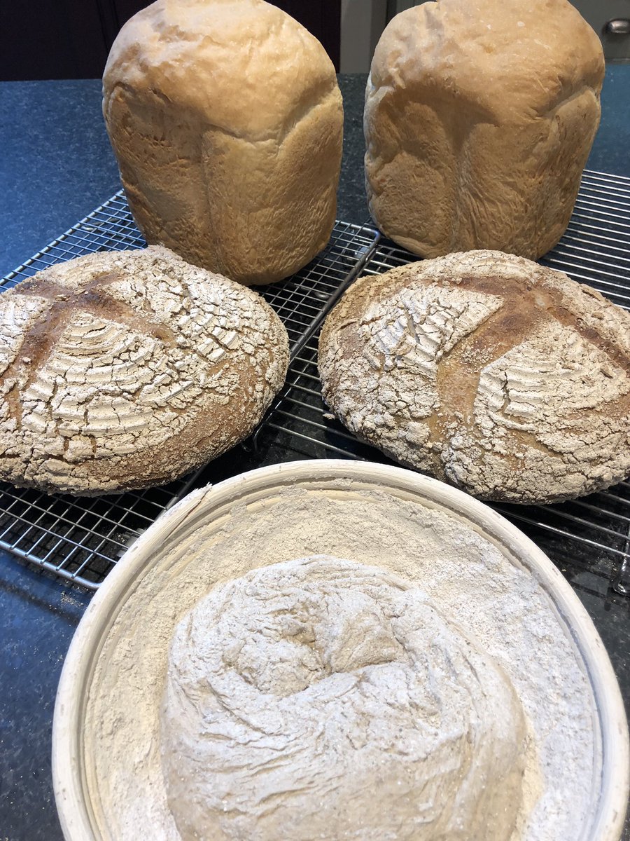 BroadwayBarn's tweet photo. Bread baking day at Broadway Barn B&amp;B - two loaves of French white, one seeded sourdough, one white sourdough and one loaf ready for proving. Only good gluten here! https://t.co/tDahk9uCYU