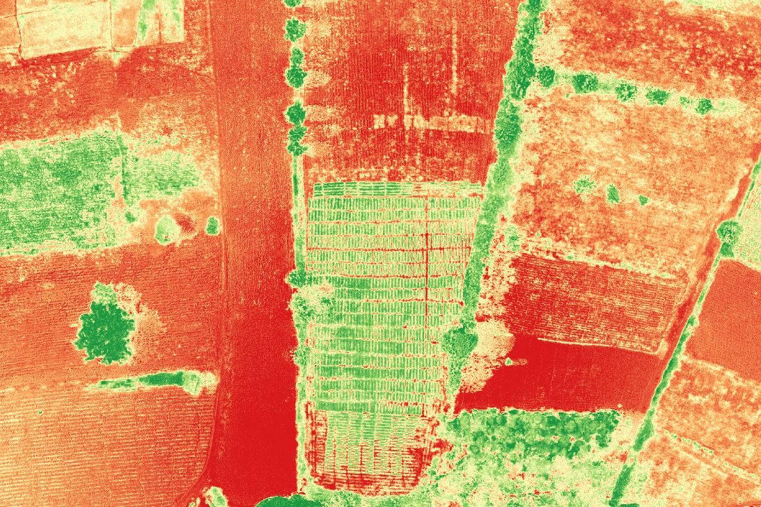 We at @Maptech_ke are offering #PrecisonAg services using #UAV Our recent flight was taken over a plantation of French beans. The following crop index maps were derived #GNDVI #NDVI | @ParrotB2B @CTAflash #EUDev #D4D #startups #youth #UAV #TheAfricaWeWant