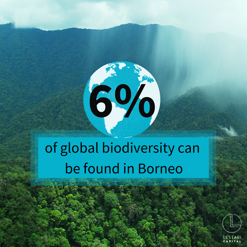 Here is a hint about our upcoming announcement in Bali this week at the The Tri Hita Karana forum for Sustainable Development: thkforum.org/event organized by <a href="/SYSTEMIQ_Ltd/">Systemiq</a>  #thkforum <a href="/SustDev/">UN DESA Sustainable Development</a> <a href="/P4Forests/">Partnerships for Forests</a>