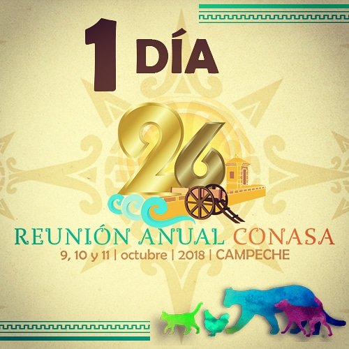 conasamexico's tweet photo. Falta sólo un día para la 26a Reunión Anual, recuerda que puedes agilizar tu registro viniendo hoy a nuestro hotel sede, el hotel Gamma.
¡Te esperamos!
#CONASA26 https://t.co/uJfTDHuJDy