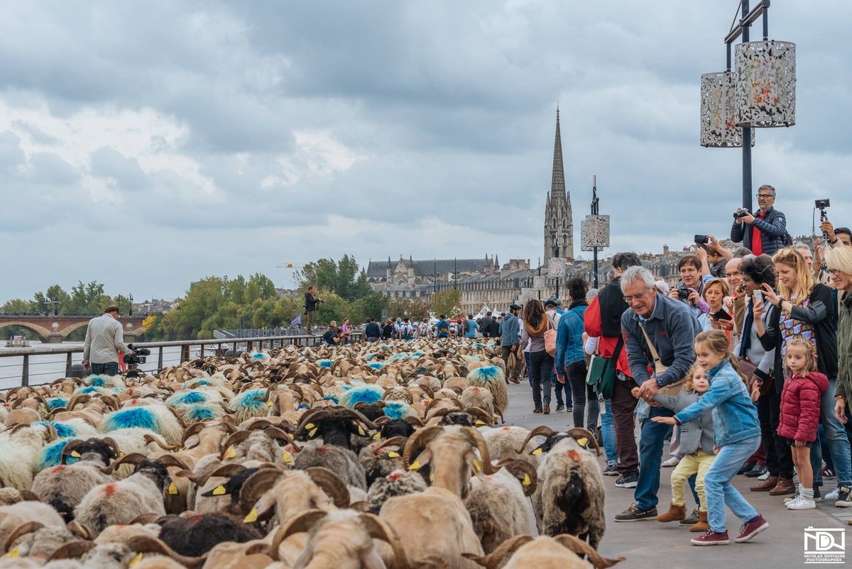 Bordeaux Tourisme tweet media